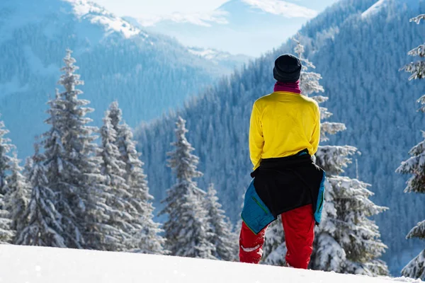 Voyageur Tient Parmi Énormes Pins Couverts Neige Admire Une Vue — Photo