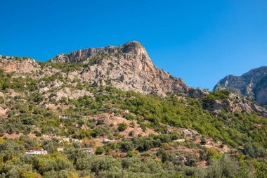 Mavi gökyüzü yemyeşil çam tarafından - mount Babadağ, Türkiye'nin massif çevrili, duvara hafif rock.