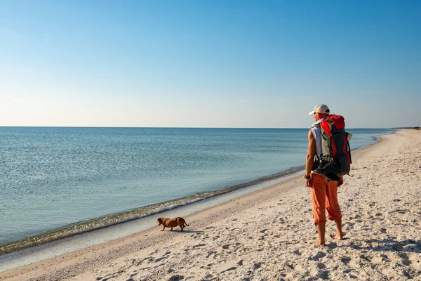 面白い犬と旅行者は晴れた日と距離を検討ターコイズ ブルーの海の横にある無人ビーチに立っています 海岸への素晴らしい冒険旅行 — ストック写真