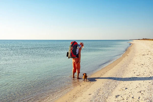 Dla Podróżujących Zabawny Pies Idzie Wzdłuż Bezludnej Plaży Obok Turkusowego — Zdjęcie stockowe