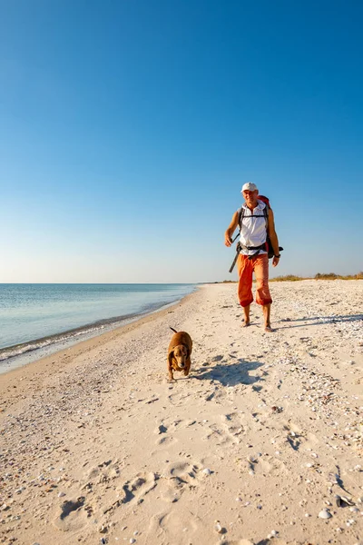 面白い犬とうれしそうな旅行者は晴れた日を有し楽しみにターコイズ ブルーの海の横にある無人ビーチを通っています 海岸への素晴らしい冒険旅行 — ストック写真