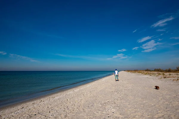 Dla Podróżujących Zabawny Pies Stoi Bezludnej Plaży Obok Turkusowego Morza — Zdjęcie stockowe