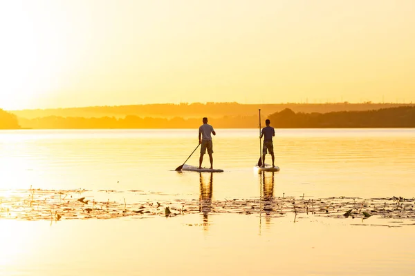 Homens Amigos Remando Pranchas Sup Grande Rio Durante Nascer Sol — Fotografia de Stock