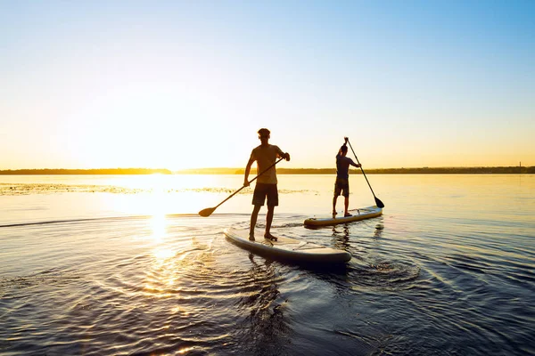 Uomini Gli Amici Remano Sup Grande Fiume Durante Alba Stand Immagine Stock