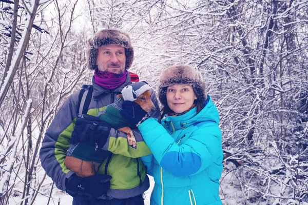 Улыбающаяся Пара Маленькой Собачкой Смешных Зимних Шляпах Стоящая Лесу Среди — стоковое фото