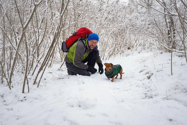 Бородатый Турист Разговаривает Своей Собакой Отдыхая Маршруте Зимнем Лесу — стоковое фото