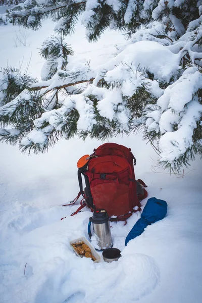 Liten Picknick Med Kaffe Och Kakor Medan Promenader Skogen Vinter — Stockfoto