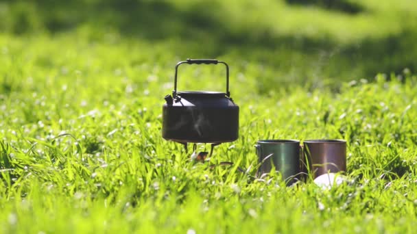 在阳光明媚的早晨 在郁郁葱葱的绿草营地里 小钢壶在两个钢杯旁的燃气燃烧器上沸腾 — 图库视频影像