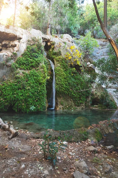 Cachoeira Incrível Flui Longo Penhasco Coberto Com Folhas Verdes Pequeno — Fotografia de Stock