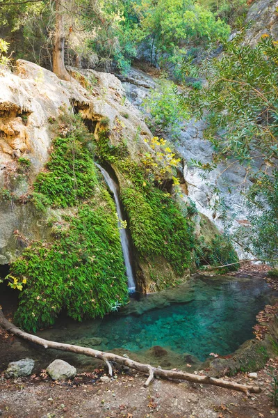 惊人的瀑布沿着被绿叶覆盖的悬崖流到一个小湖中 有清澈的绿松石水 土耳其的里昂道 复古图片 — 图库照片