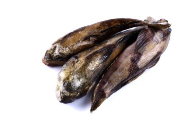 Deniz kaya balığı. Taze dondurulmuş balık (izole). Yakın çekim