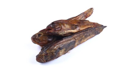 Beyaz arka planda üç denizci Goby (izole edilmiş))