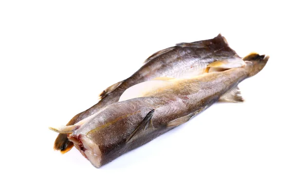 Färsk Fryst Fisk Isolerade — Stockfoto