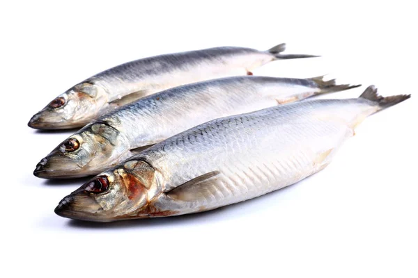 Três Peixes Arenque Sobre Fundo Branco Isolado Fechar — Fotografia de Stock