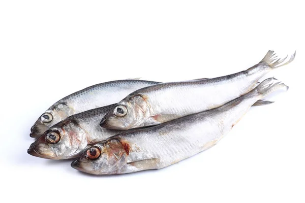Kleine Fische Auf Weißem Hintergrund Isoliert Nahaufnahme — Stockfoto