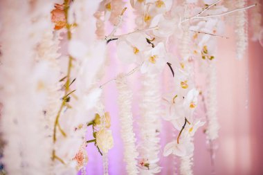 Düğün dekorasyon taze çiçekler. Arka plan