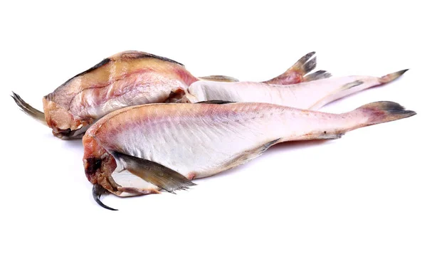 Frischer gefrorener Fisch (isoliert) — Stockfoto