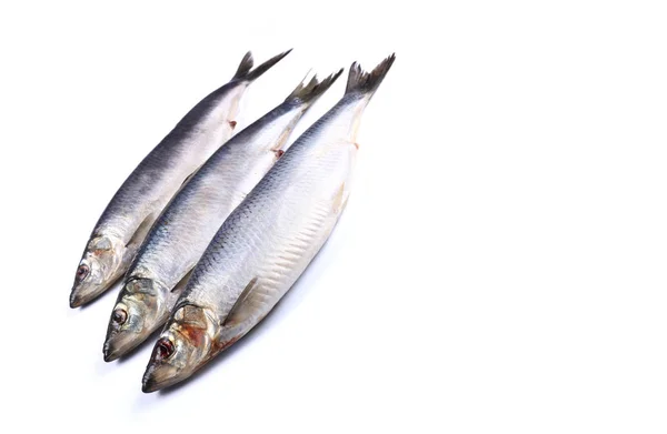 Drei Heringsfische auf weißem Hintergrund (isoliert). Nahaufnahme — Stockfoto