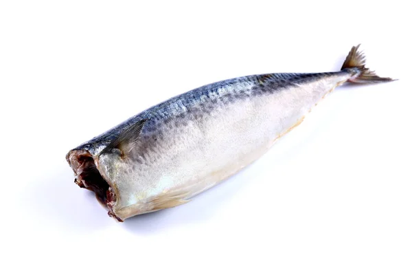 Ein Makrelenfisch ohne Kopf auf weißem Hintergrund (isoliert). c — Stockfoto