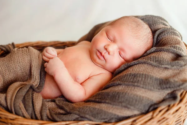 茶色の縞模様の籠の中の新生児 — ストック写真