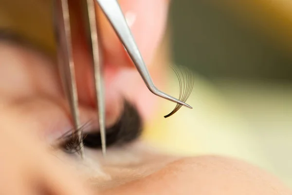 Il padrone costruisce grandi ciglia colorate al cliente. Preparazione — Foto Stock