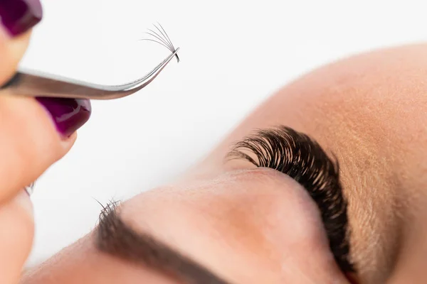The master builds up large colored eyelashes to the client. Prep — Stock Photo, Image