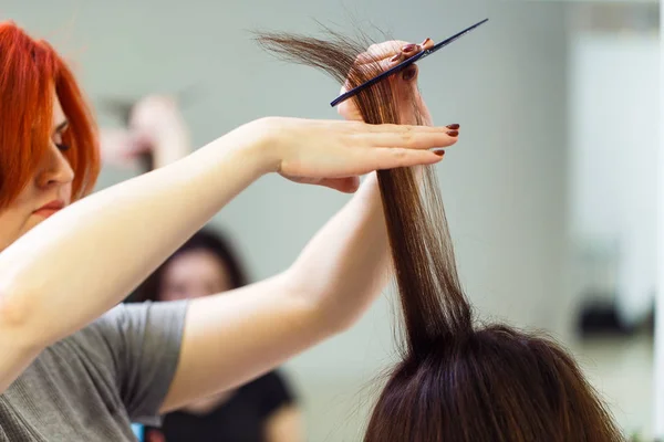 Stylist alinhar o cabelo do cliente com alisador — Fotografia de Stock