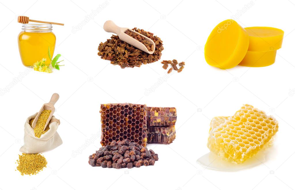 Set of beekeeping products on a white background. Honey, pollen, propolis, bee bread, beeswax. Healthy foods.