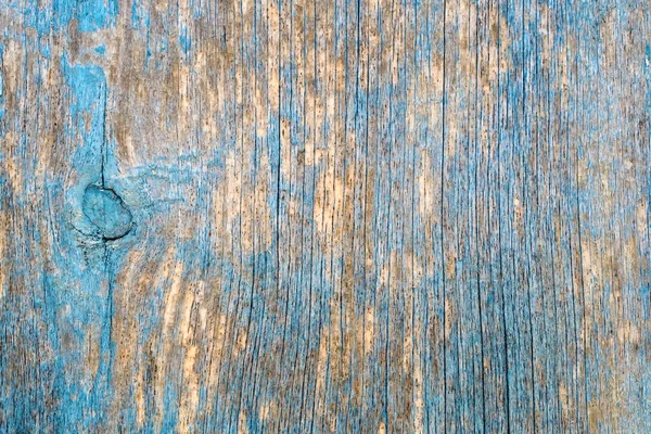 Φυσικό Φόντο Ένα Παλιό Δέντρο Υφή Άνιση Βαμμένο Μπλε Τουρκουάζ — Φωτογραφία Αρχείου