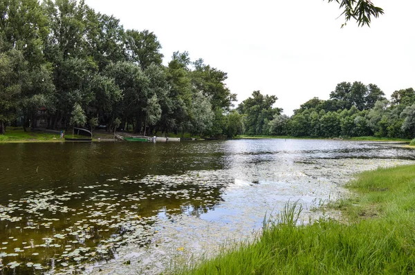 Přírodní Rezervace Krajina Několik Lodí Řeky Přírodní Rezervaci Zelené Stromy — Stock fotografie