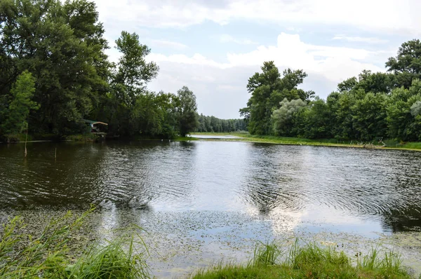 Natuur Reserve Landschap Rivier Natuurreservaat Groene Bomen Gele Waterlelie Lotos — Stockfoto