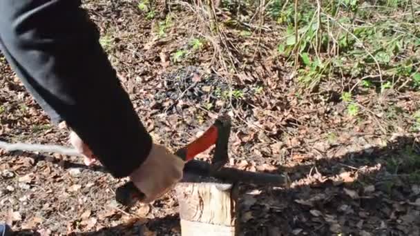 特写人的手在森林的蜂巢上用斧子砍木棍 背景中秋天的落叶 — 图库视频影像