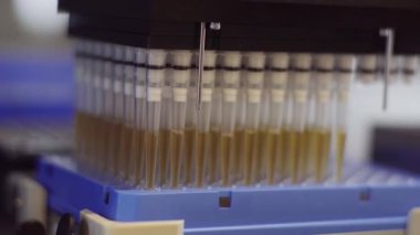 Klinik laboratuarında otomasyon. Robot laboratuarı borulama. Tıbbi robot bilimi. Araştırma ve bilim robotları