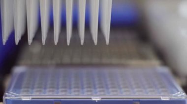 Klinik laboratuarında otomasyon. Robot laboratuarı borulama. Tıbbi robot bilimi. Araştırma ve bilim robotları