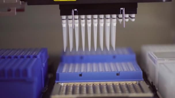 Automatisation au laboratoire clinique. Laboratoire de robots pipetteurs. Médecine robotique. Recherche et science robotique — Video