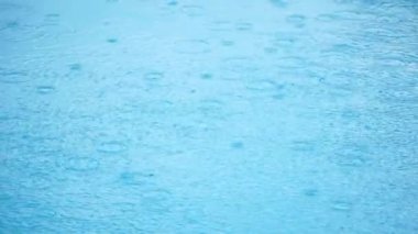 Güzel ağaçlar ile yağmur.