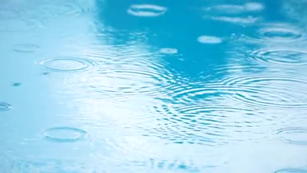 Gotas Lluvia Piscina Cámara Lenta — Vídeos de Stock