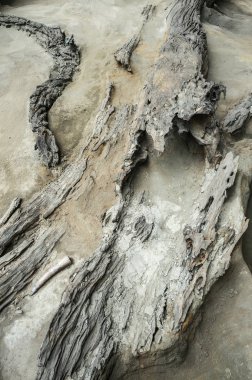 Çürümüş ahşap bir eski nehir yatağında, Chengdu, Sichuan, Çin