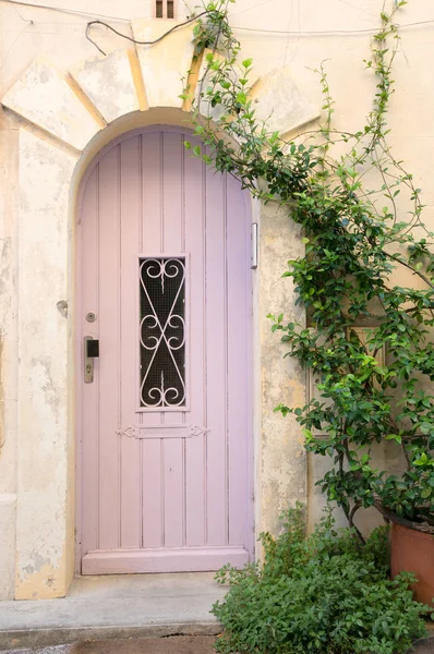 美丽的粉红色的门细节 — 图库照片