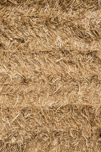 Pile Straw Texture Background — Stock Photo, Image