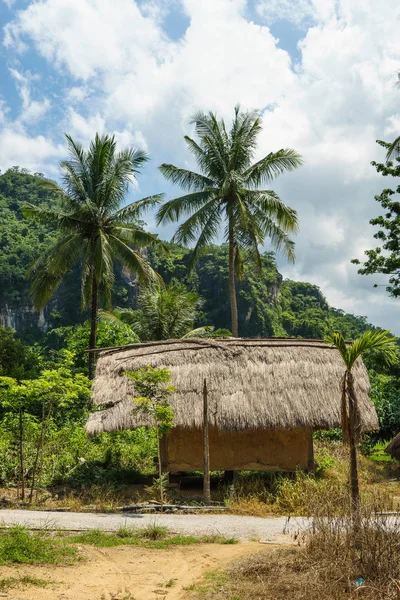 Paisaje Tropical Con Terraza Arrozales Cocoteros Atardecer Aldea Yahu Wuzhishan —  Fotos de Stock