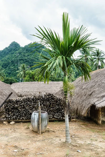 Thatchings tekne ile çatı Baicha Köyü, Hainan, Çin şeklinde