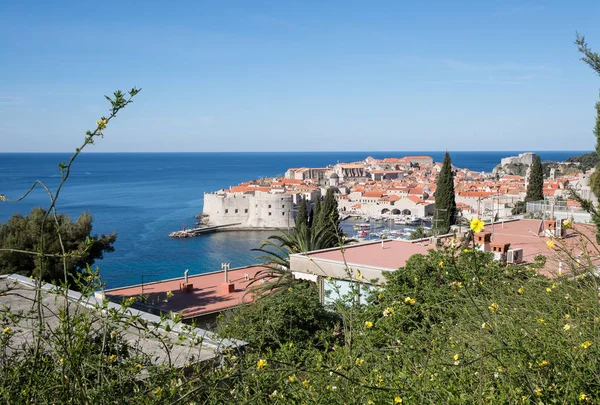 Casco Antiguo Dubrovnik Croacia — Foto de Stock