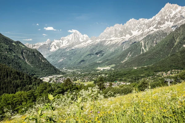 Valley Chamonix City Peaks Alps France — Stock Photo, Image