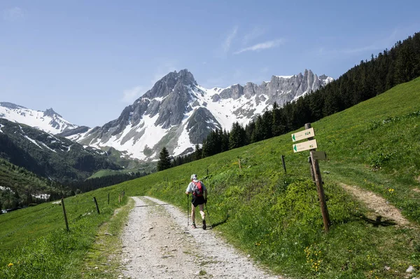 Wandelaars Alpen Frankrijk Tour Mont Blanc — Stockfoto