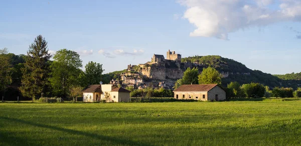 Alplerdeki yeşil alanların görünümü