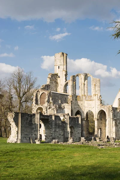 Rovina Dell Abbazia Chaalis Giorno Inverno Francia — Foto Stock