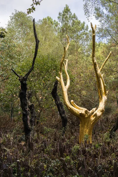 Trehorenteuc France October 2016 Golden Tree Entrance Val Sans Retour — Stock Photo, Image