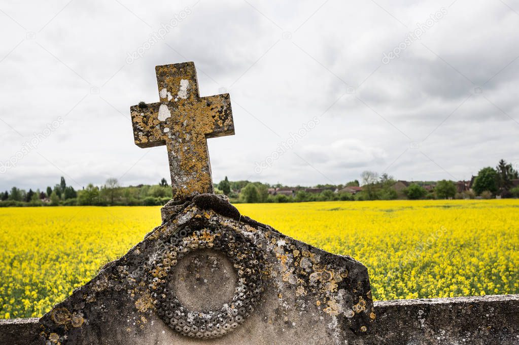 tombstone cross against oilseed rape fields, Pontigny, Burgundy, France
