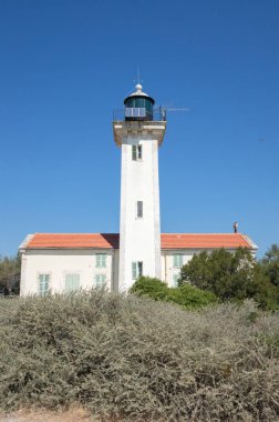 gacholle deniz feneri, parc bölgesel de camargue, provence, Fransa